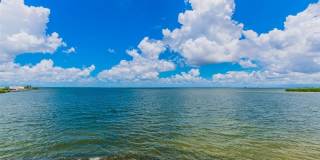 Culbreath Key Gallery 50