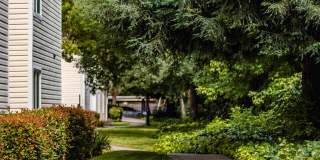 Kensington Kensington Gallery 40