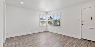 Hesperian Gallery 13