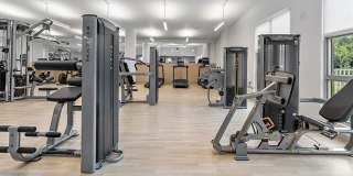 The Kavista Gallery 24