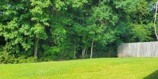103 Salem Creek Drive Gallery 4