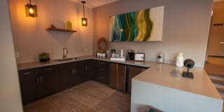 La Costa at Dobson Ranch Gallery 23