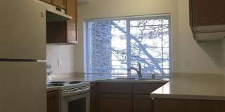 Edgewood North Gallery 6