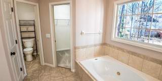 1865 Oak Tree Hollow Gallery 22