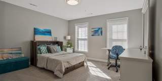 12902 CRICKMORE Trace Gallery 29