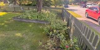 3 Bedroom house in Rogers Park! Gallery 12