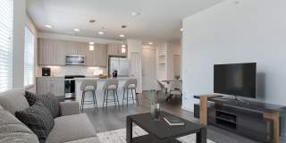 Park at Stone Oak Gallery 9