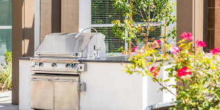 808 West Apartments Gallery 28