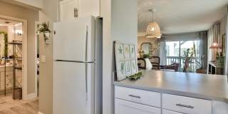 906 Ocean Marina Drive Gallery 17