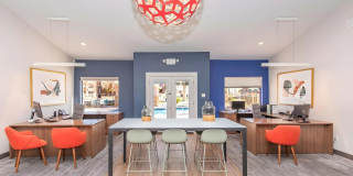 Morrison in Mesa Gallery 6