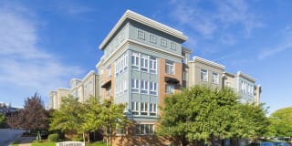 20 Lambourne Gallery 2