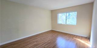 22808 Hilton Head Drive Gallery 9