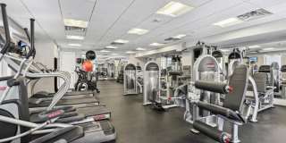 The Bexley Gallery 35