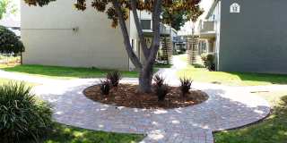 Pinebrook Apartments Gallery 15