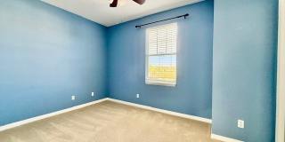 2339 Felicity Place Gallery 14