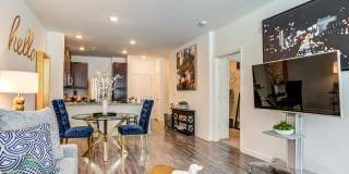 Allure Apollo Gallery 1