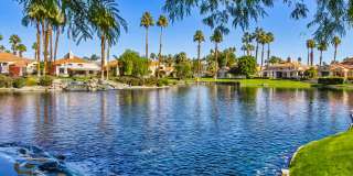 79840 Arnold Palmer Gallery 50