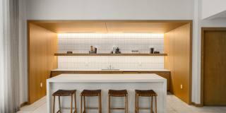 Starling Gallery 20