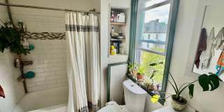 Newly renovated spacious 4 bedroom home in Sheraden - AVAILABLE OCTOBER! Gallery 19