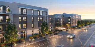 Haven + Arrow Gallery 17