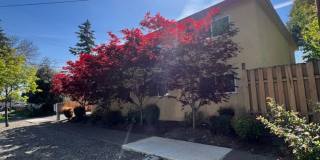 540alm Gallery 9