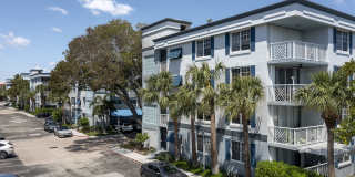 Bermuda Cay Gallery 32