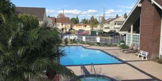 170 Amberway Apartments Gallery 3