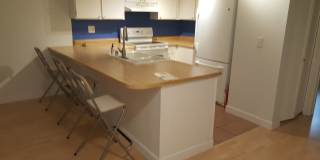 Lovely 1bd. Ground-Level Condo in Cotati Gallery 9