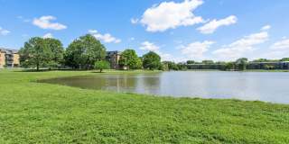 Sunset Lake Gallery 18