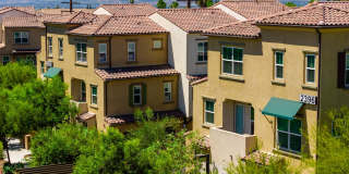Arrow Vista Village Gallery 81