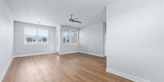 The Vivien Gallery 44