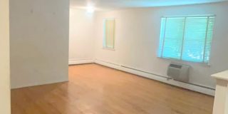 18 Vernon St Gallery 2