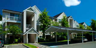 The Timbers at Issaquah Ridge Apartments Gallery 15