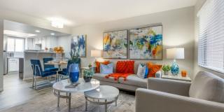 Newport Apartments Gallery 7