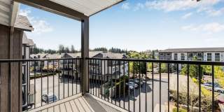 Sofi at Cedar Mill Gallery 10