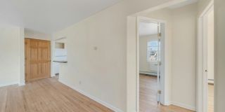 337 Madison Ave Gallery 11