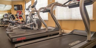 Northlake Park Gallery 17