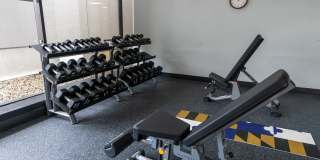 Vivo Living Gallery 14