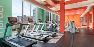 Blue and Lime Gallery 14