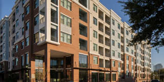 7th & Oak Gallery 46