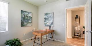 Coventry Park Gallery 13