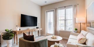 EDE Gallery 60