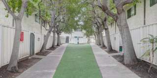 Los Gatos Creek Gallery 16