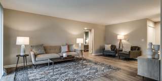 Radius at Ten Mile Gallery 7