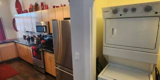 Large Studio 1 bathroom Gallery 22