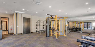 Maverick Gallery 166