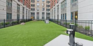 The Quincy Gallery 24