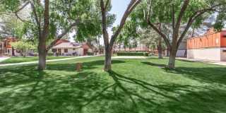 Standard Raintree Standard Raintree Gallery 12