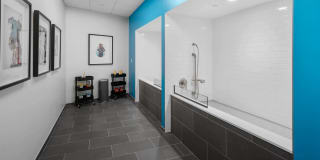 Osprey Apartments Gallery 58