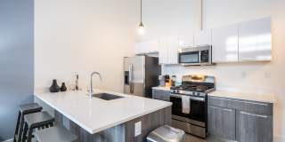 The Harrison Gallery 21